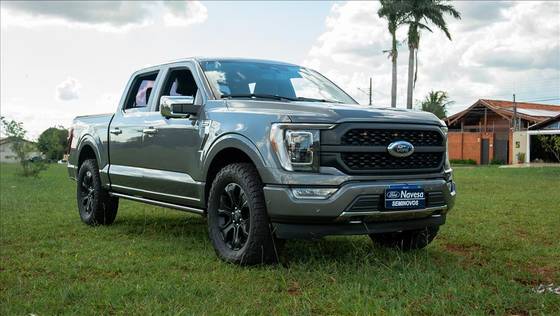 FORD F-150 5.0 V8 GASOLINA CD PLATINUM FX4 AUTOMÁTICO
